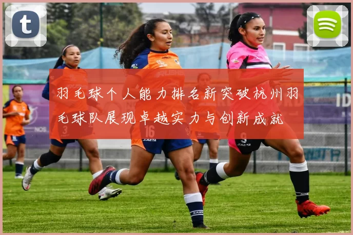 羽毛球个人能力排名新突破杭州羽毛球队展现卓越实力与创新成就