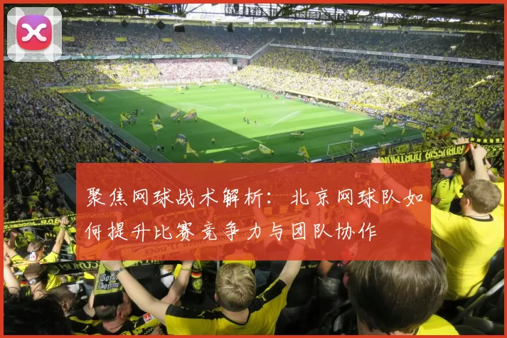 聚焦网球战术解析：北京网球队如何提升比赛竞争力与团队协作