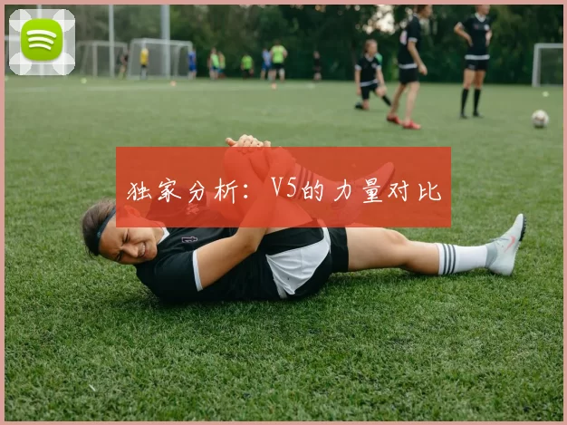 独家分析：V5的力量对比
