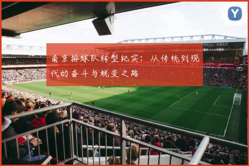 南京排球队转型纪实：从传统到现代的奋斗与蜕变之路