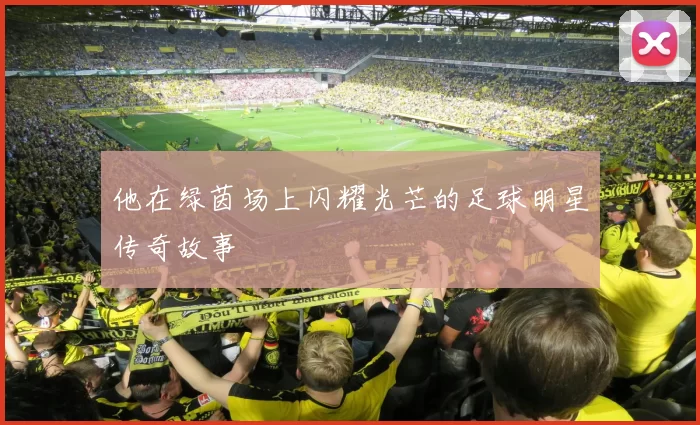 他在绿茵场上闪耀光芒的足球明星传奇故事