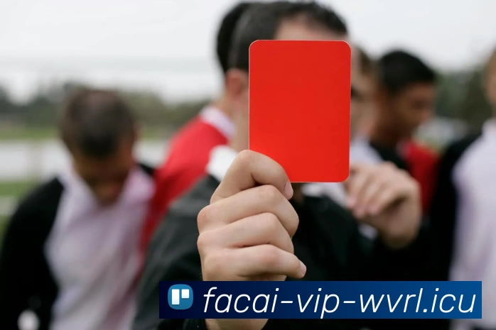 开云体育品牌故事