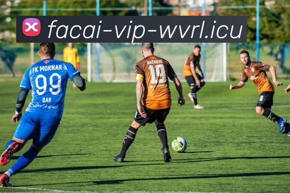 开云体育服务体系